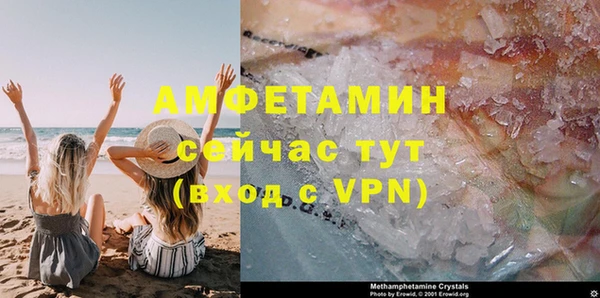 гидра Артём