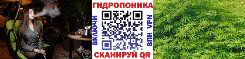 дарнет шоп  Фокино  МАРИХУАНА марихуана 